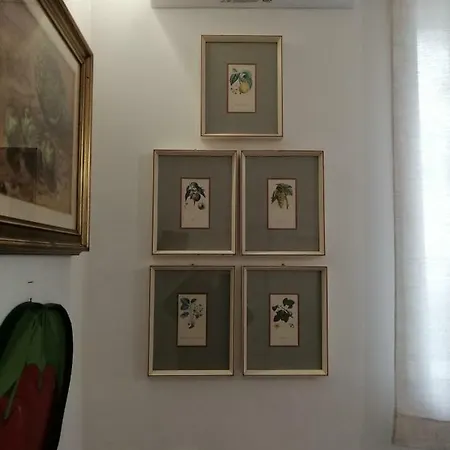 Alma House Rudiae Апартаменты *